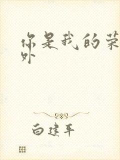 你是我的荣耀番外