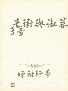 老卫与淑蓉第13章