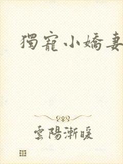 独宠小娇妻