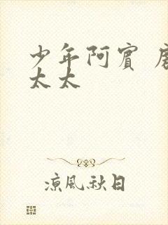 少年阿宾 房东太太