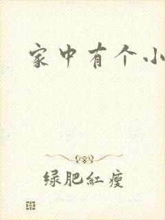 家中有个小姨子