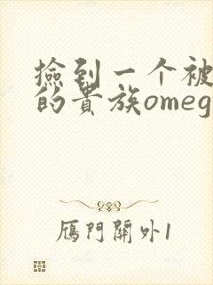 捡到一个被抹布的贵族omega