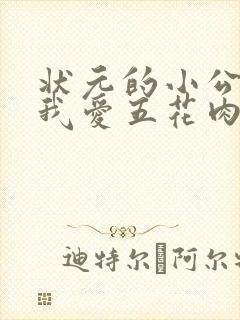 状元的小公主(我爱五花肉)