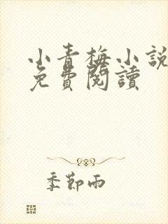 小青梅小说全文免费阅读
