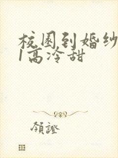 校园到婚纱1V1高冷甜