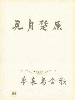 见月楚原