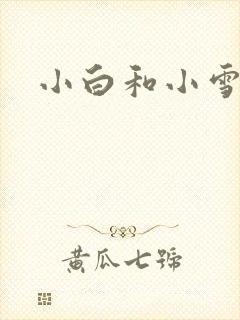 小白和小雪