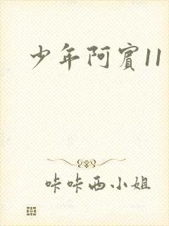 少年阿宾11