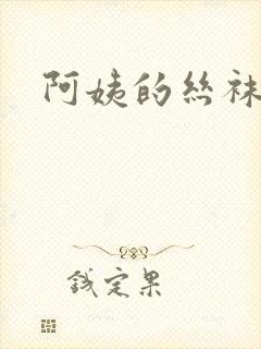 阿姨的丝袜小说