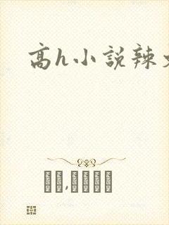 高h小说辣文