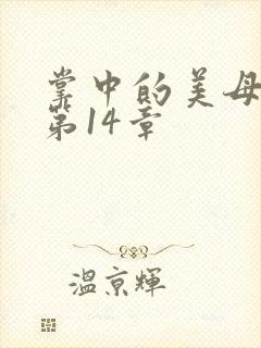 掌中的美母版主第14章