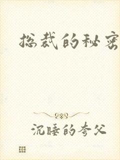 总裁的秘密情人