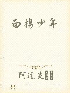 白杨少年
