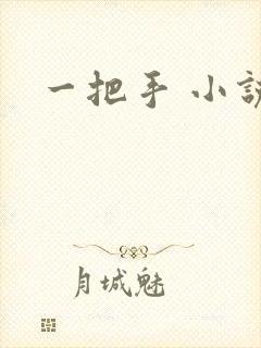 一把手 小说