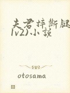 夫君摔断腿后(1v2)小说