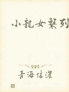 小龙女系列小说