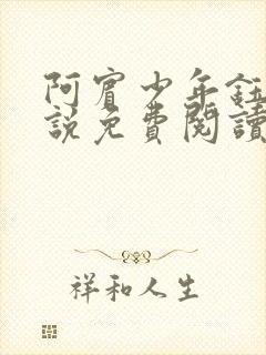 阿宾少年钰慧小说免费阅读笔趣阁