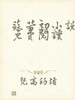 苏若初小说全文免费阅读