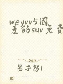weyvv5国产的suv免费