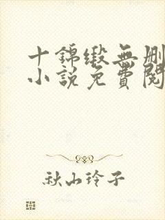 十锦缎无删原著小说免费阅读