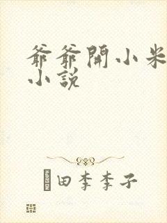 爷爷开小米的包小说