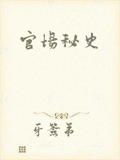 官场秘史