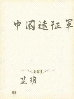 中国远征军小说