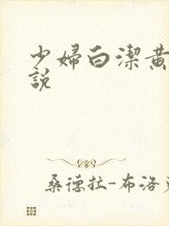 少妇白洁黄色小说