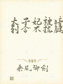 太子妃被暗卫C到合不拢腿