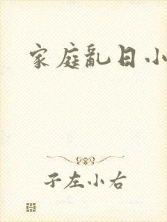 家庭乱日小说