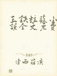 王铁柱苏小汐小说全文免费阅读最新章节