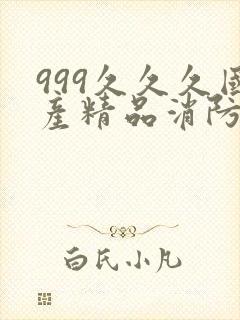 999久久久国产精品消防器材