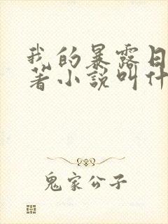 我的暴露日记原著小说叫什么