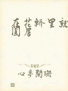 在花轿里就开始圆房