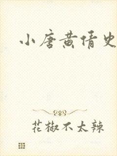 小唐黄倩史