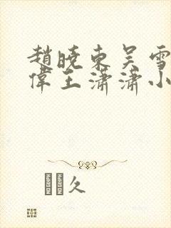 赵晓东吴雪晴郑伟王潇潇小说