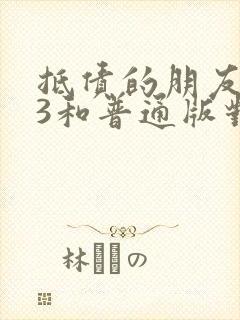 抵债的朋友麦子3和普通版对比