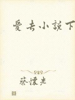 爱去小说下载网