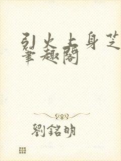 引火上身芝麻糖笔趣阁