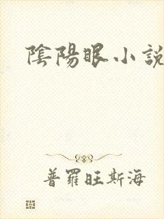 阴阳眼小说