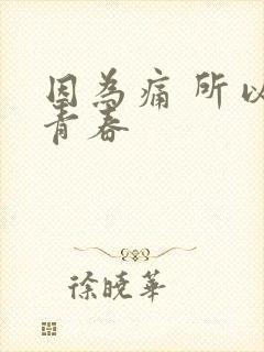 因为痛 所以叫青春