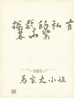 总裁的私有宝贝 暮山紫