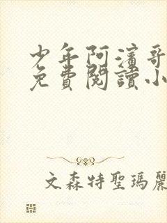 少年阿滨哥全文免费阅读小说