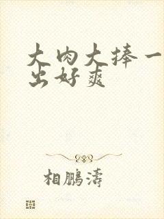 大肉大捧一进一出好爽