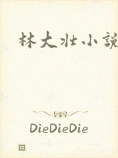 林大壮小说阅读