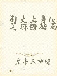 引火上身1v1芝麻糖结局