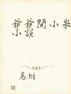 爷爷开小米的包小说