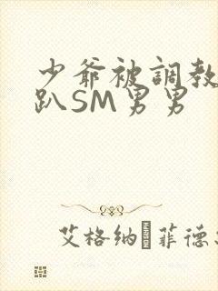 少爷被调教室跪趴SM男男