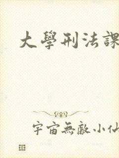 大学刑法课
