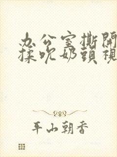 办公室撕开奶罩揉吮奶头视频